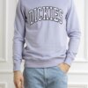DICKIES-FELPA AITKIN-DICDK0A4XAB SKY