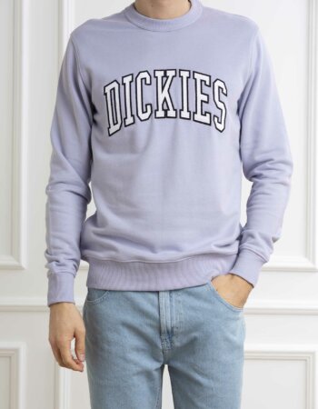 DICKIES-FELPA AITKIN-DICDK0A4XAB SKY