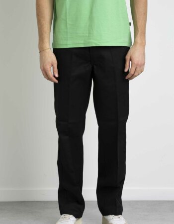 DICKIES-T-SHIRT MAPLETON-DICDK0A4XDB MINT
