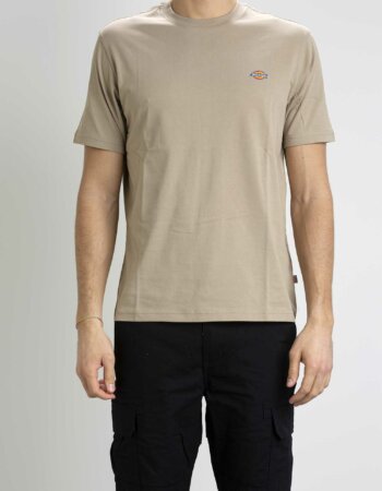 DICKIES-T-SHIRT MAPLETON-DICDK0A4XDB SAND