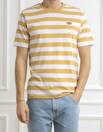 DICKIES-T-SHIRT RIVERGROVE-DICDK0A4Y8Y LEAF
