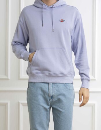 DICKIES-FELPA MILLERSBURG HOODIE-DICDK0A4YLYP4 SKY