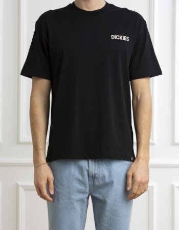 DICKIES-T-SHIRT BEACH TEE SS-DICDK0A4YRD BLACK