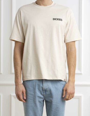 DICKIES-T-SHIRT BEACH TEE SS-DICDK0A4YRD GRAY