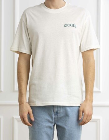 DICKIES-T-SHIRT ELLISTON-DICDK0A4YRM CLOUD